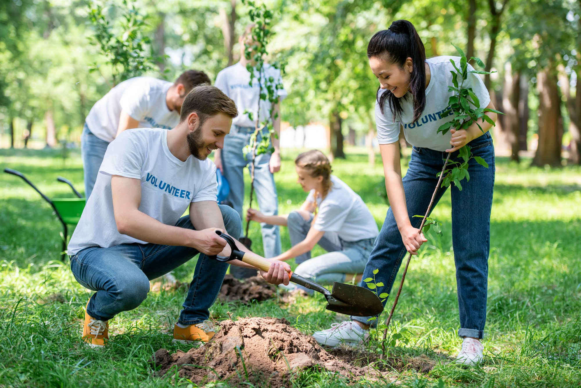 young volunteers planting trees in green park together